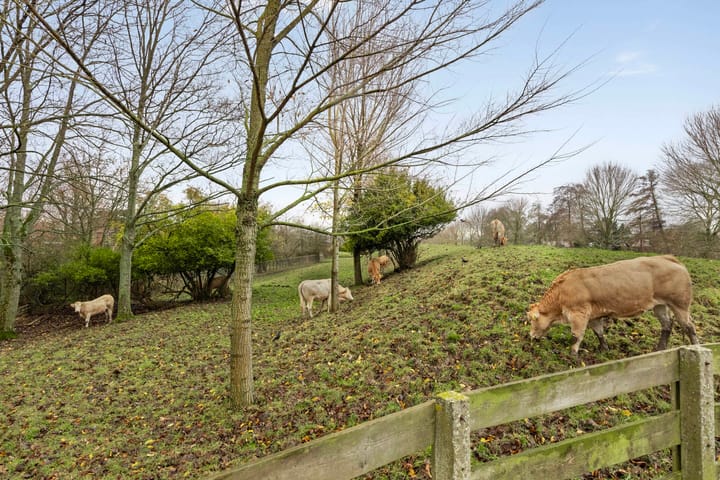 Photo 39 of Wilsonstraat 62