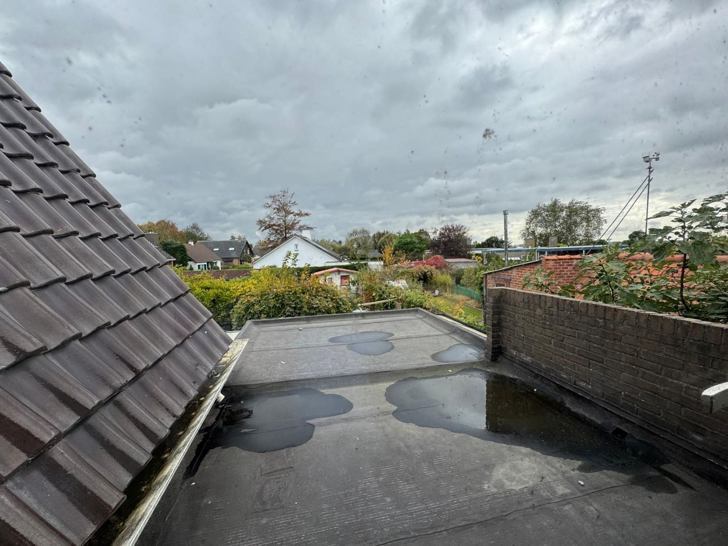 Foto 25 van Weststraat 31