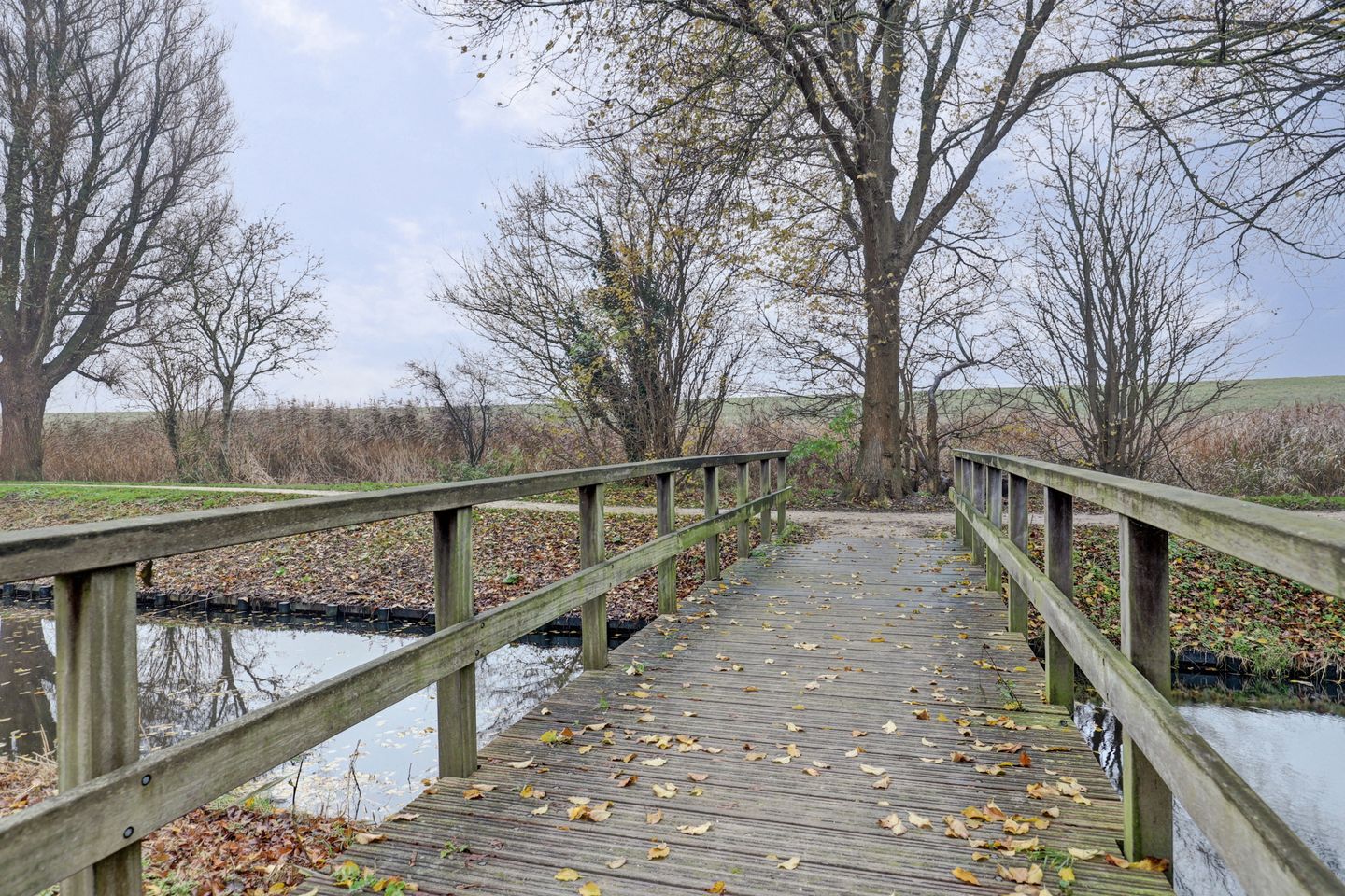 Foto 34 van Houtzaagmolen 202