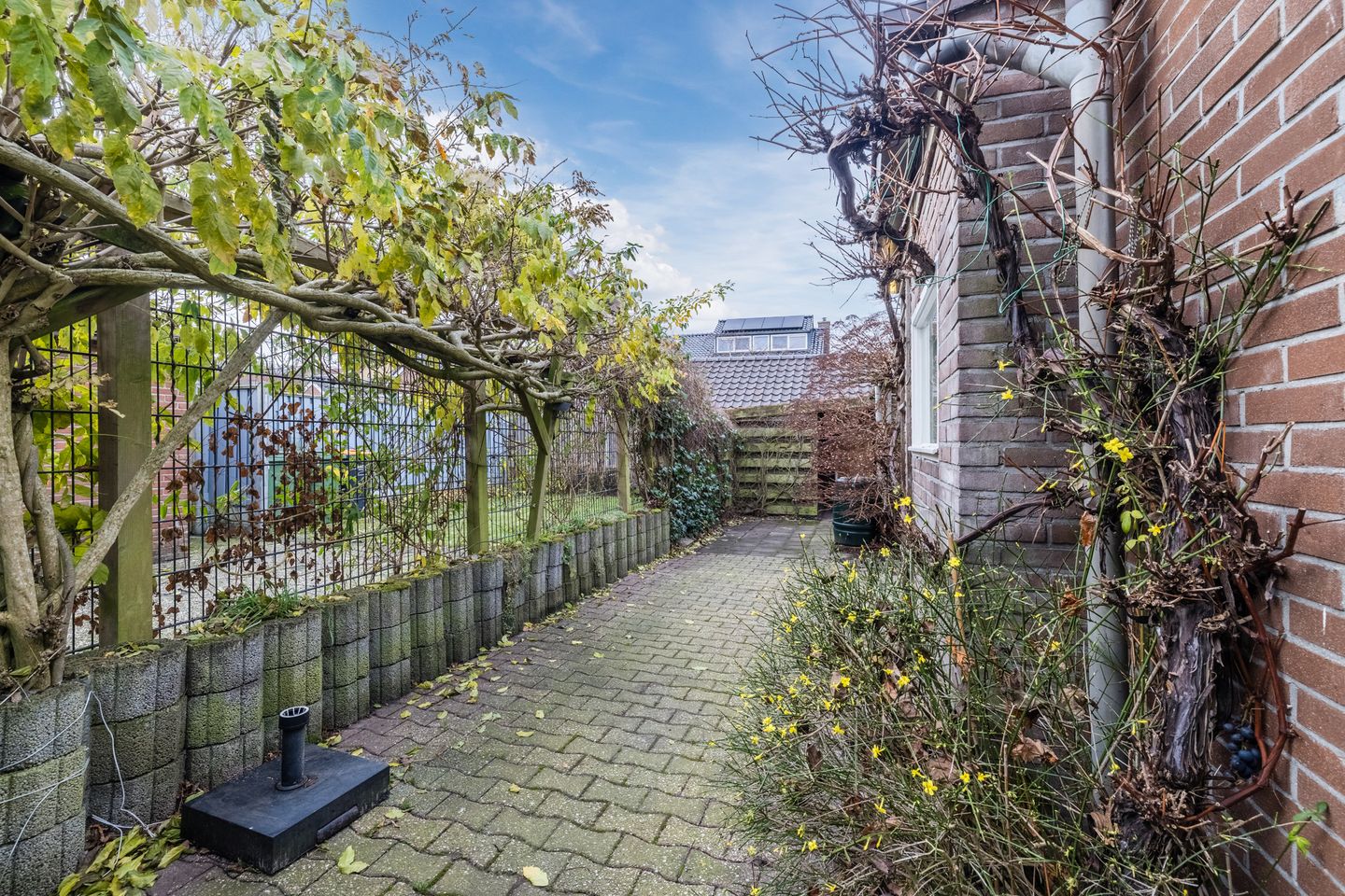 Foto 34 van Da Costastraat 78