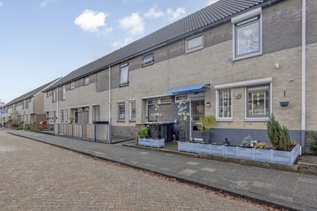 undefined main image