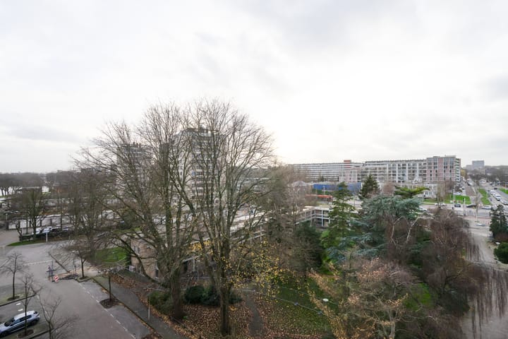 Photo 11 of Oeverpad 520