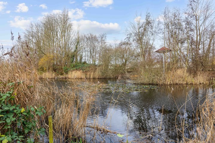 Photo 66 of Patrijspoort 125