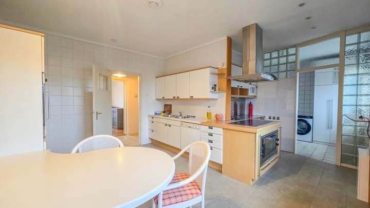 Foto 7 van de Krijntjes 18