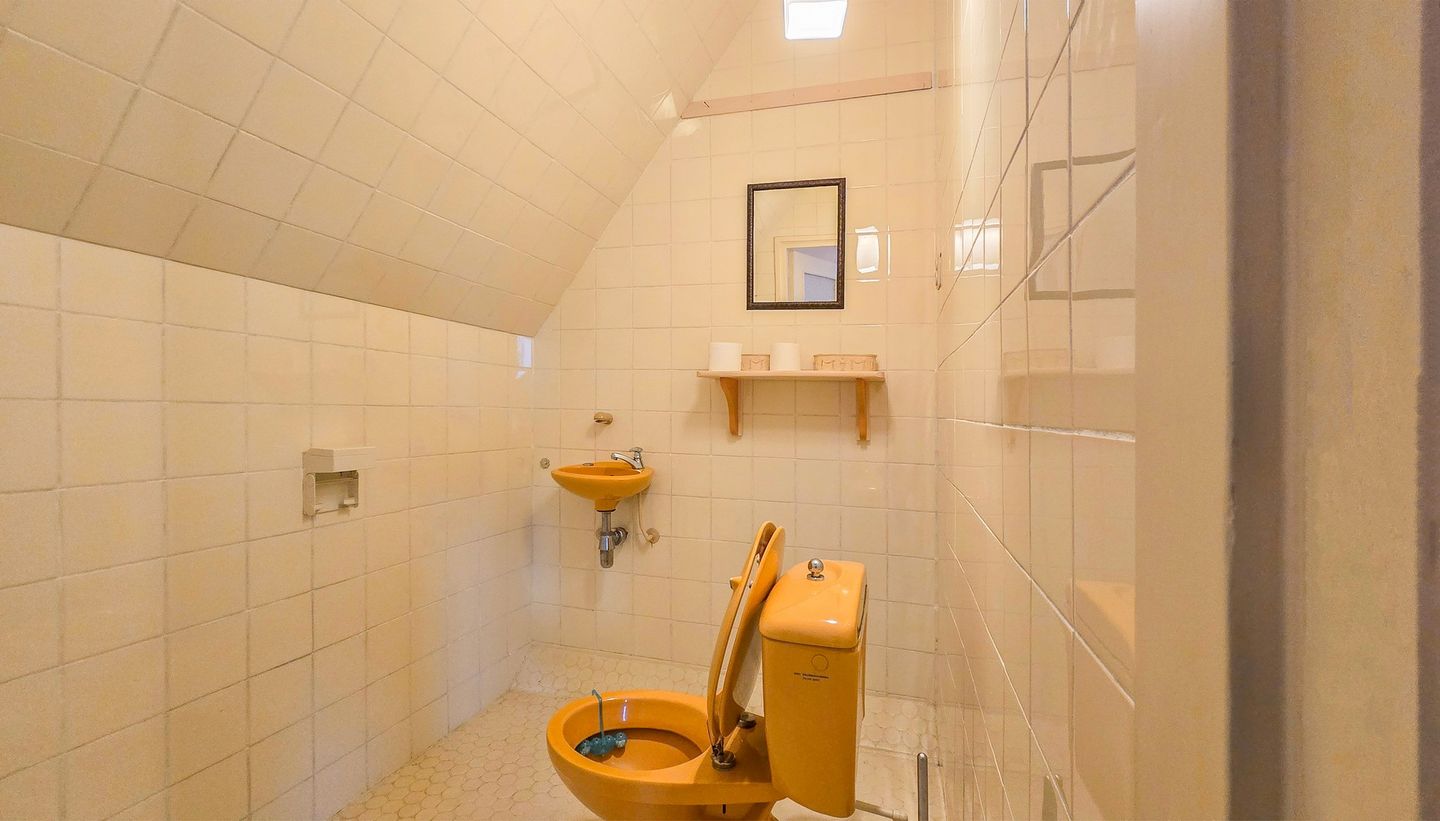 Foto 14 van de Krijntjes 18