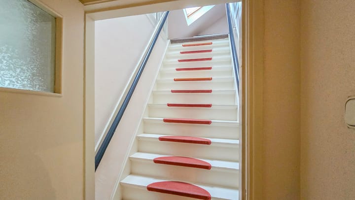 Foto 17 van de Krijntjes 18