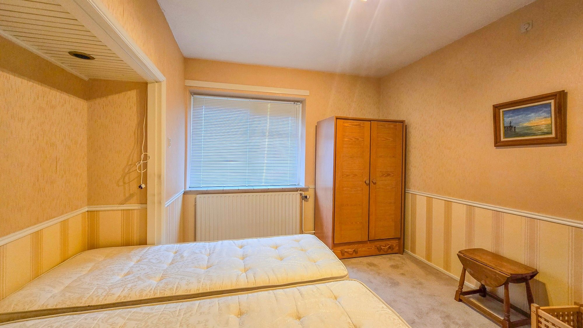 Foto 18 van de Krijntjes 18