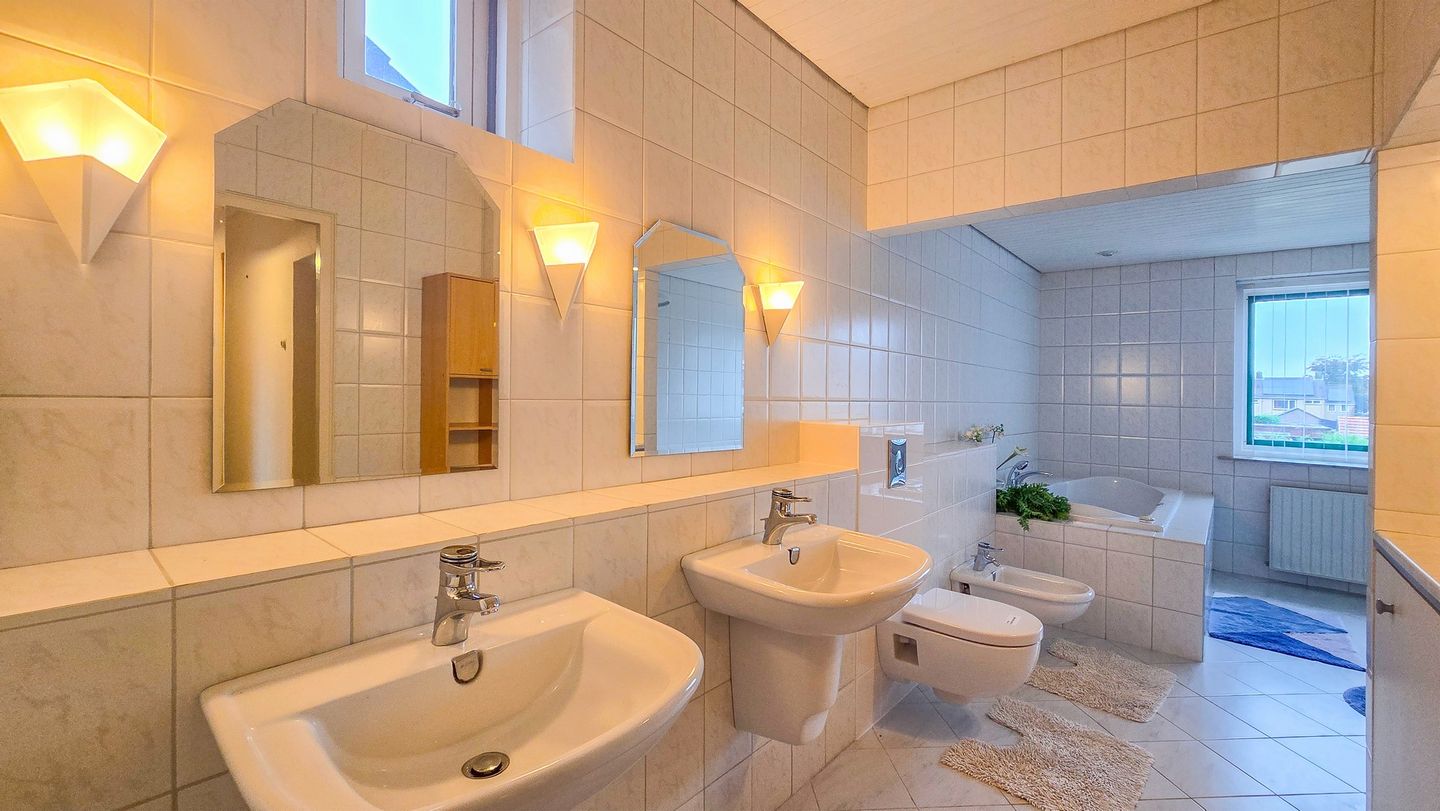 Foto 20 van de Krijntjes 18