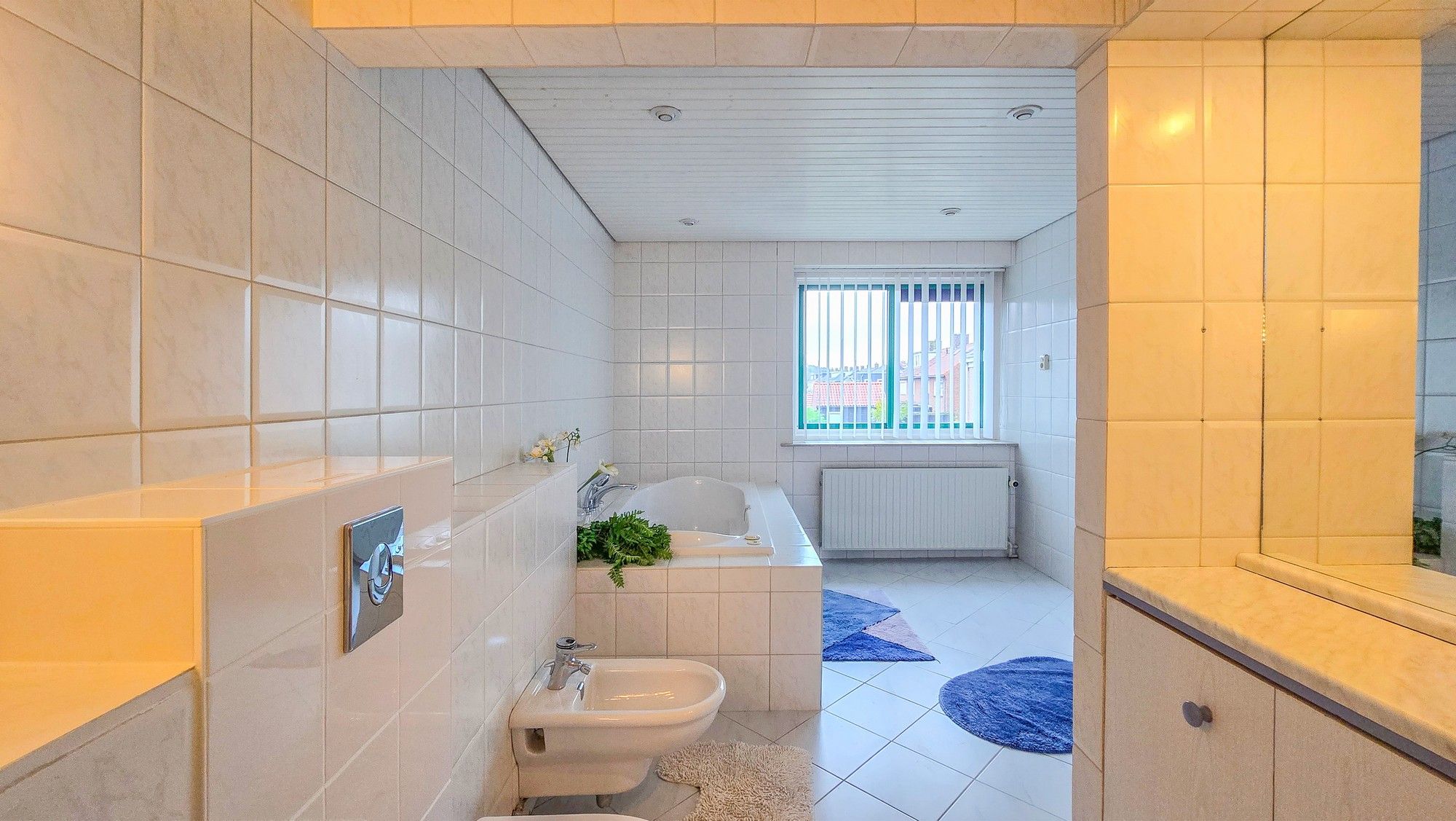 Foto 21 van de Krijntjes 18