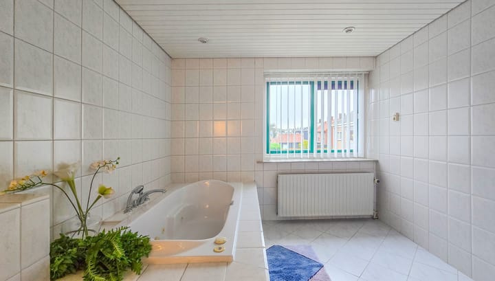 Foto 22 van de Krijntjes 18