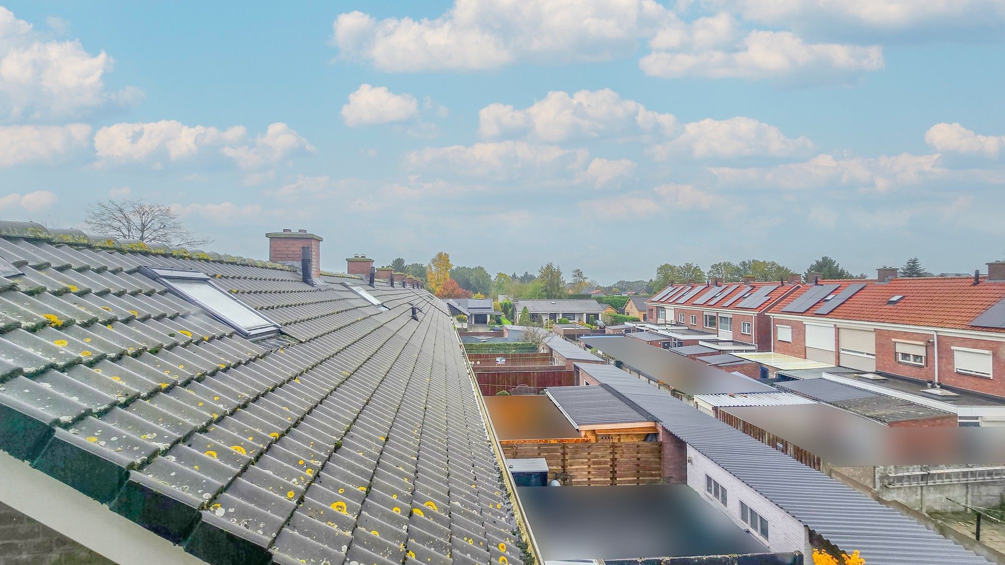 Foto 27 van de Krijntjes 18