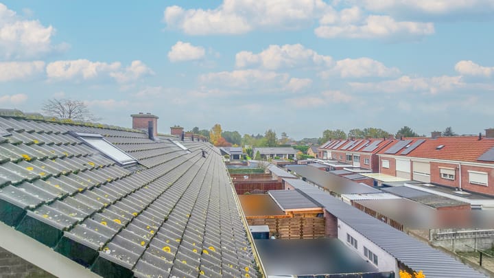 Foto 27 van de Krijntjes 18