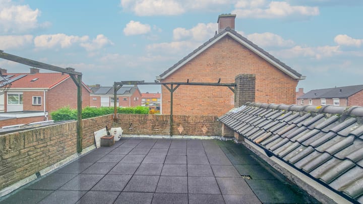 Foto 11 van de Krijntjes 18