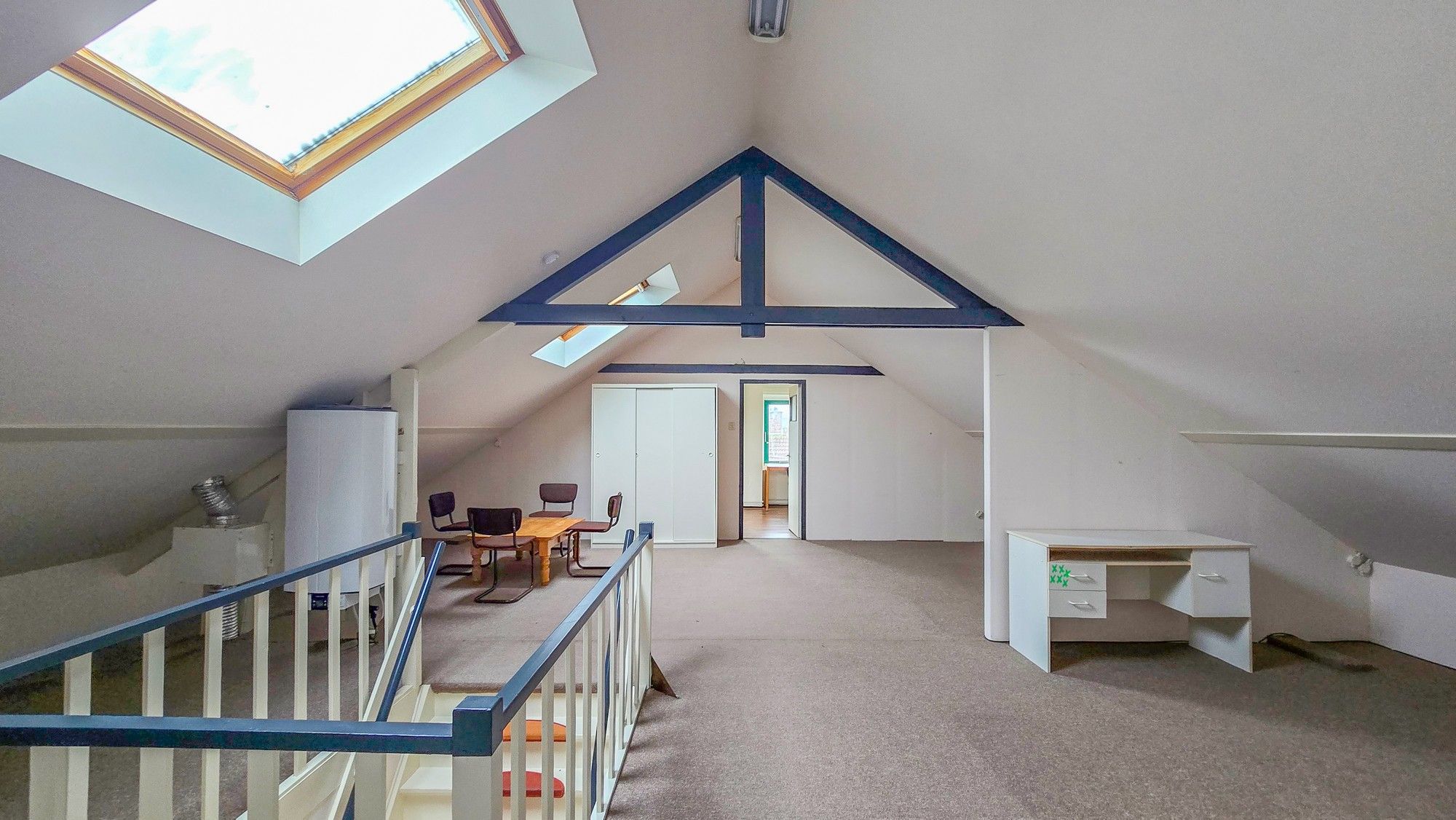 Foto 30 van de Krijntjes 18