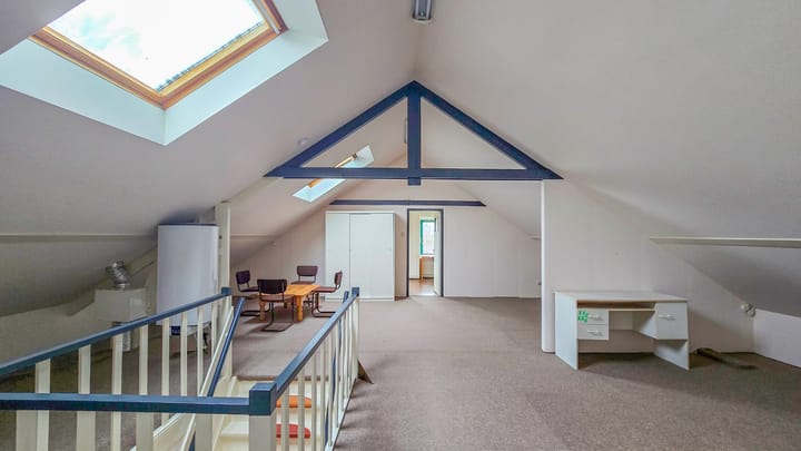 Foto 30 van de Krijntjes 18