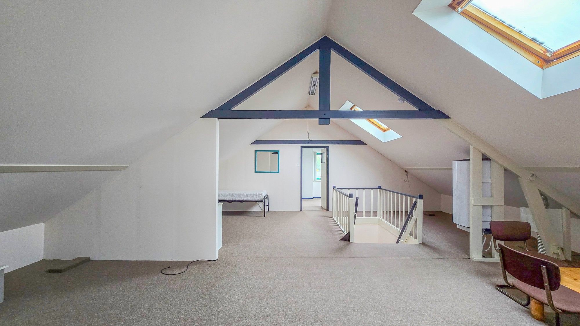 Foto 33 van de Krijntjes 18