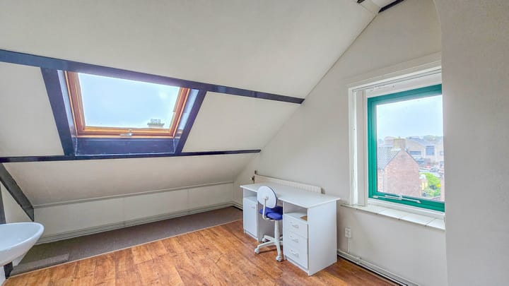 Foto 34 van de Krijntjes 18