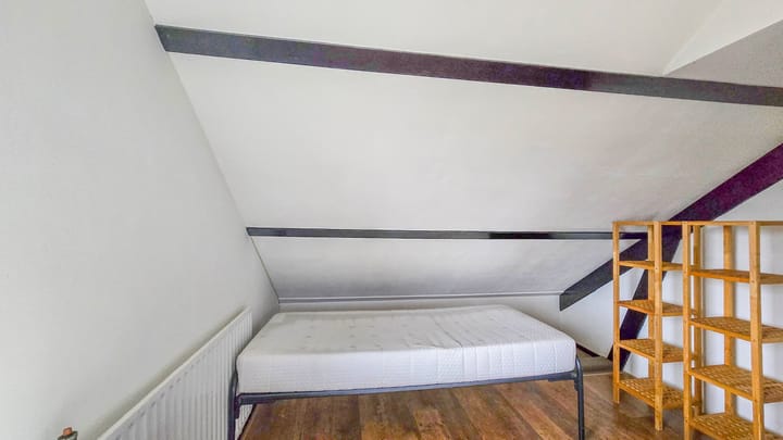 Foto 35 van de Krijntjes 18