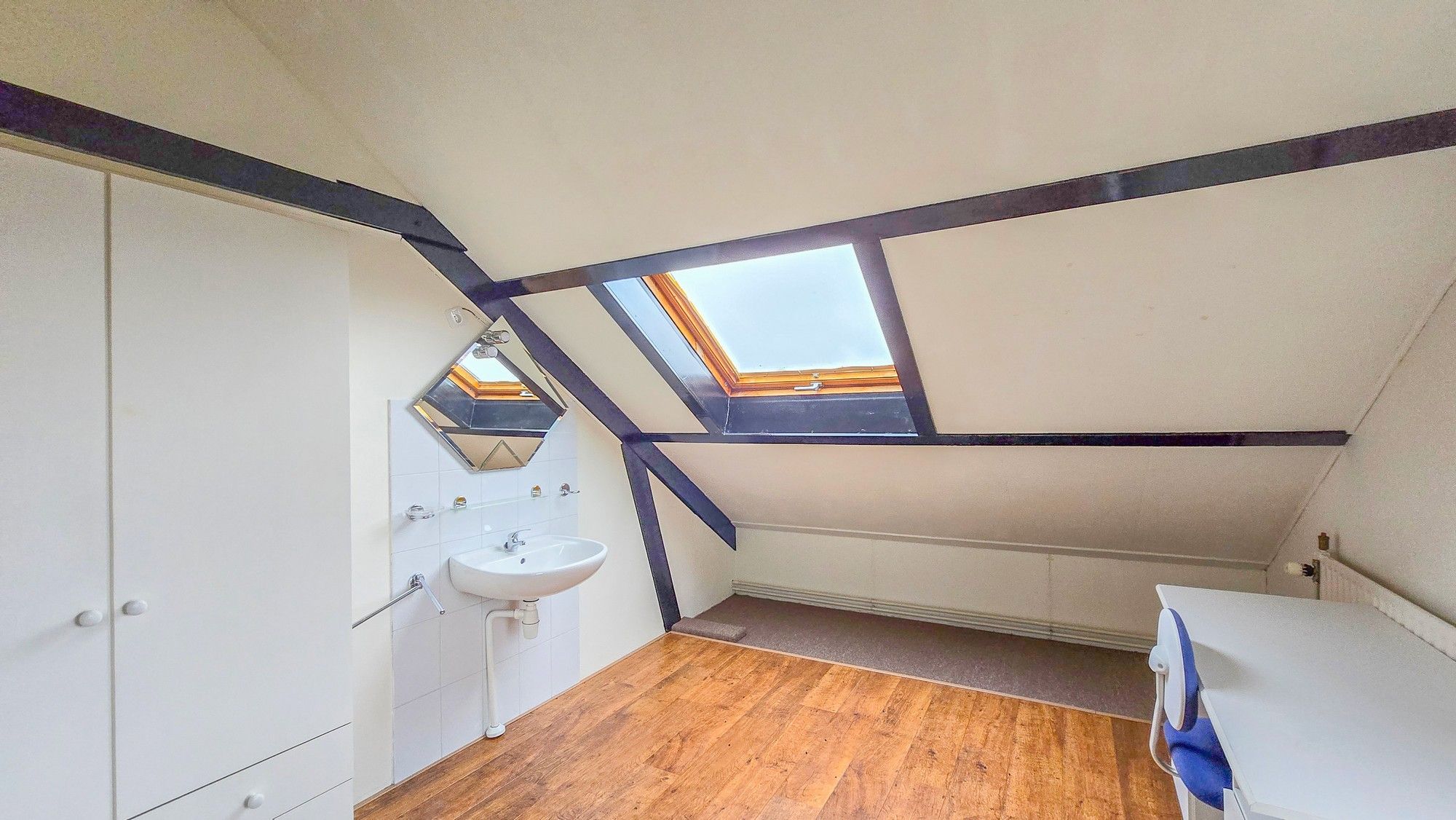 Foto 36 van de Krijntjes 18