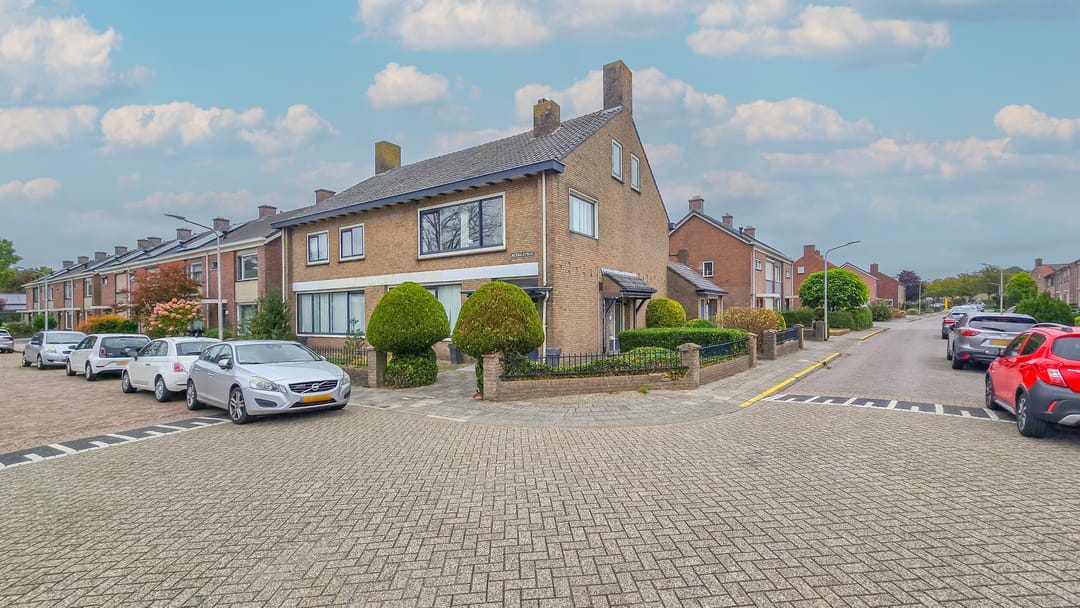 Foto 37 van de Krijntjes 18