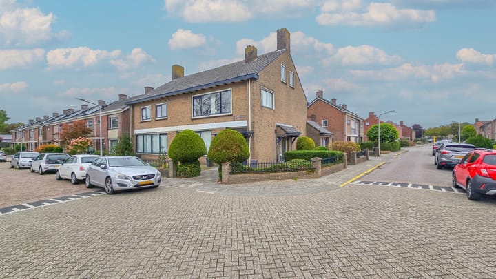 Foto 37 van de Krijntjes 18