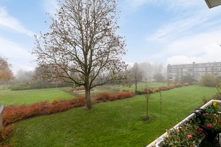 Foto 14 van Brittenoord 59