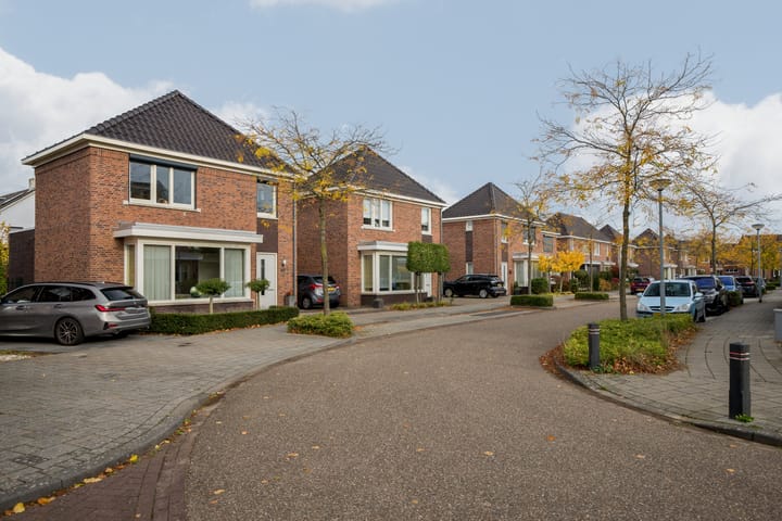 Foto 41 van Hagelkruis 42