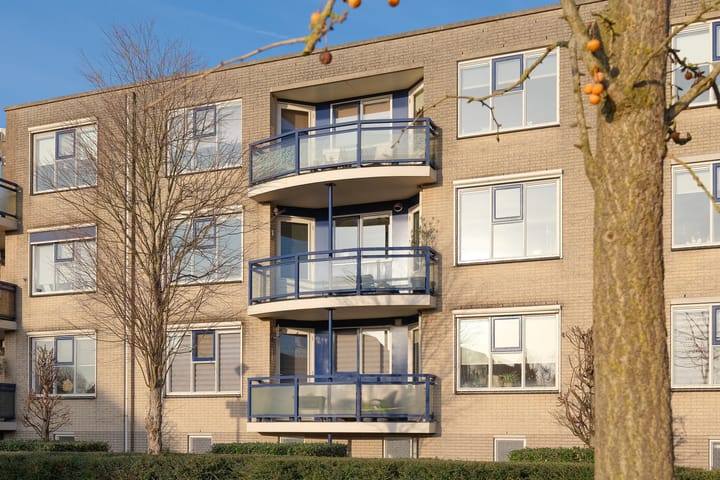 Foto 26 van Boekweitakker 24