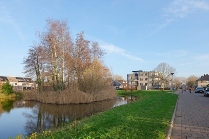 Foto 28 van Boekweitakker 24