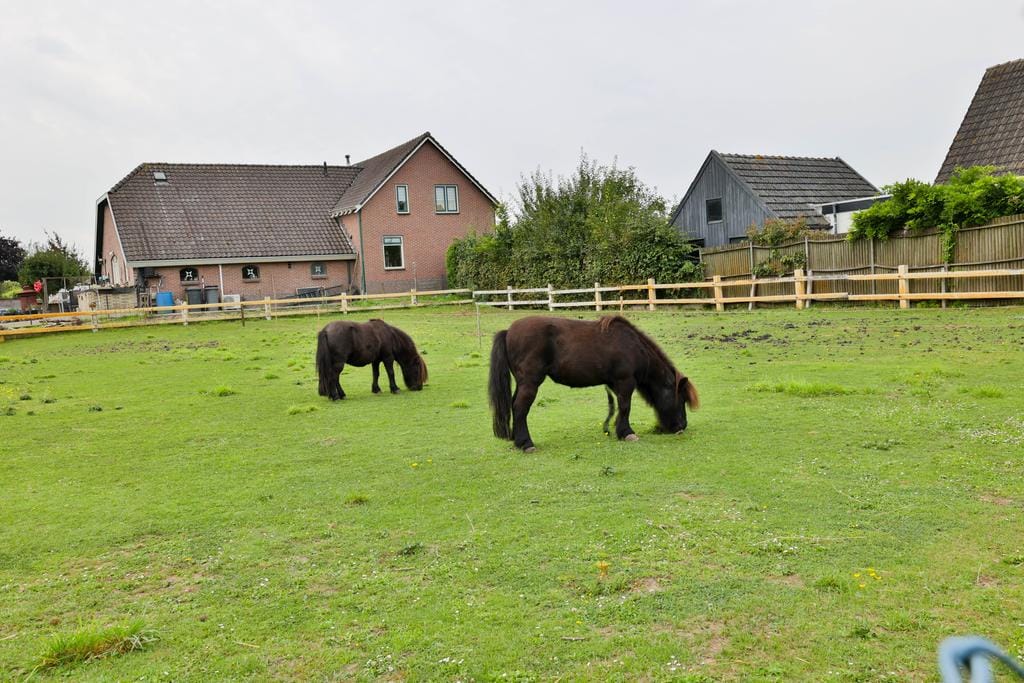 Foto 5 van Watersnipstraat 62