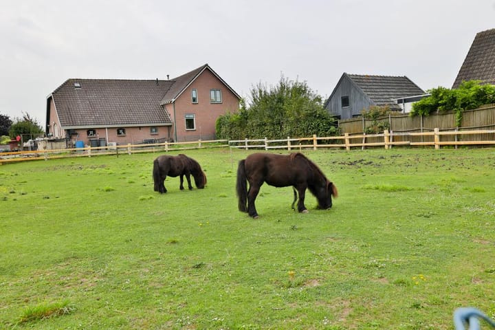 Foto 5 van Watersnipstraat 62