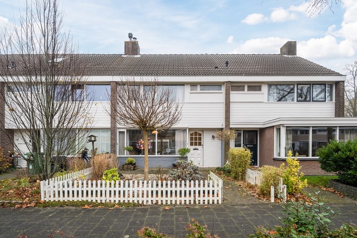 Matsyslaan 20 main image