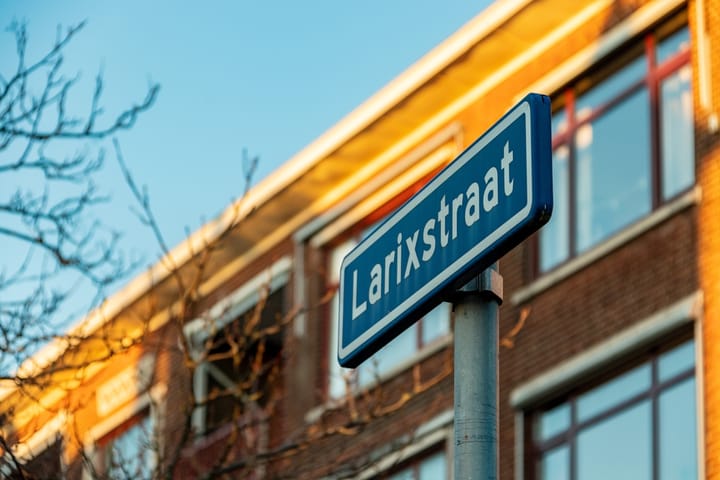 Foto 27 van Larixstraat 25