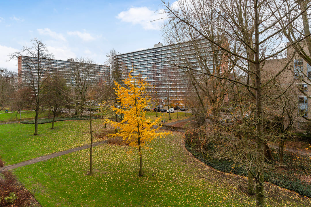 Foto 28 van Anatole Franceplaats 392