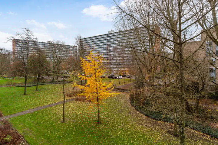 Foto 28 van Anatole Franceplaats 392