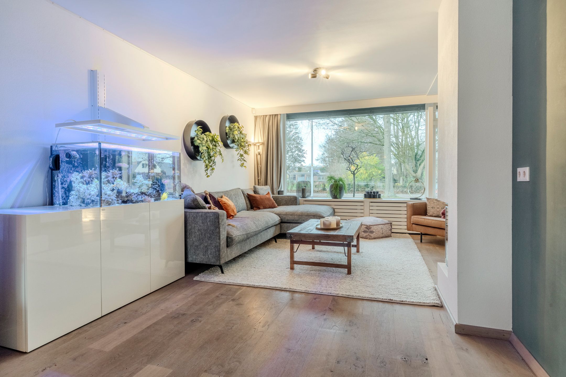 Foto 6 van Eikeboom 9