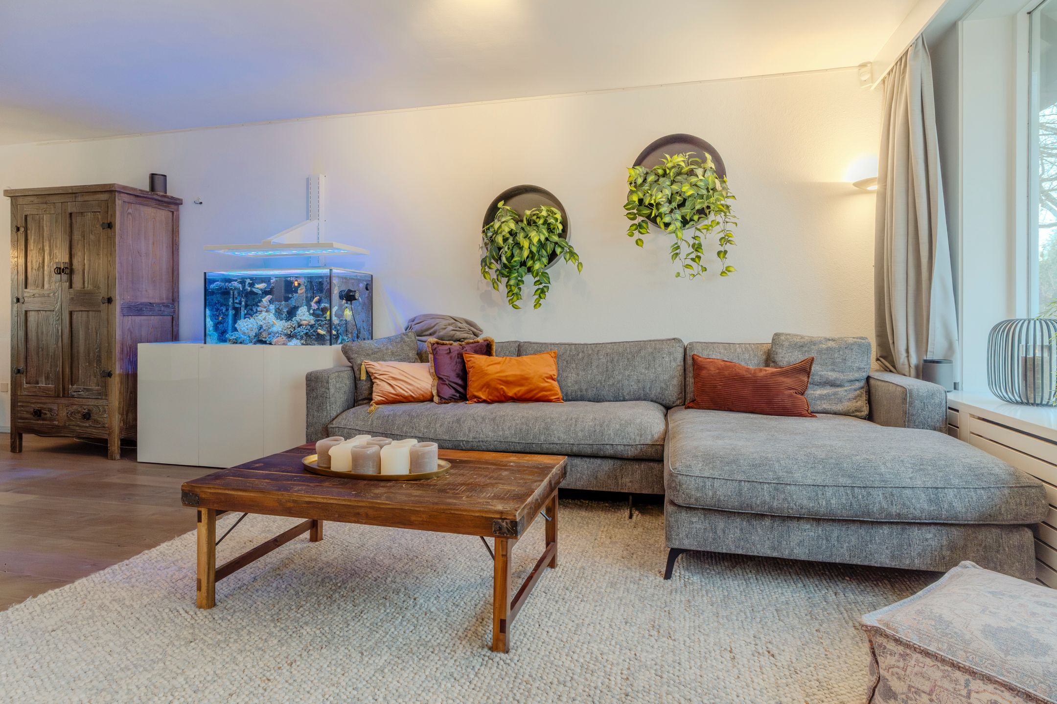 Foto 9 van Eikeboom 9