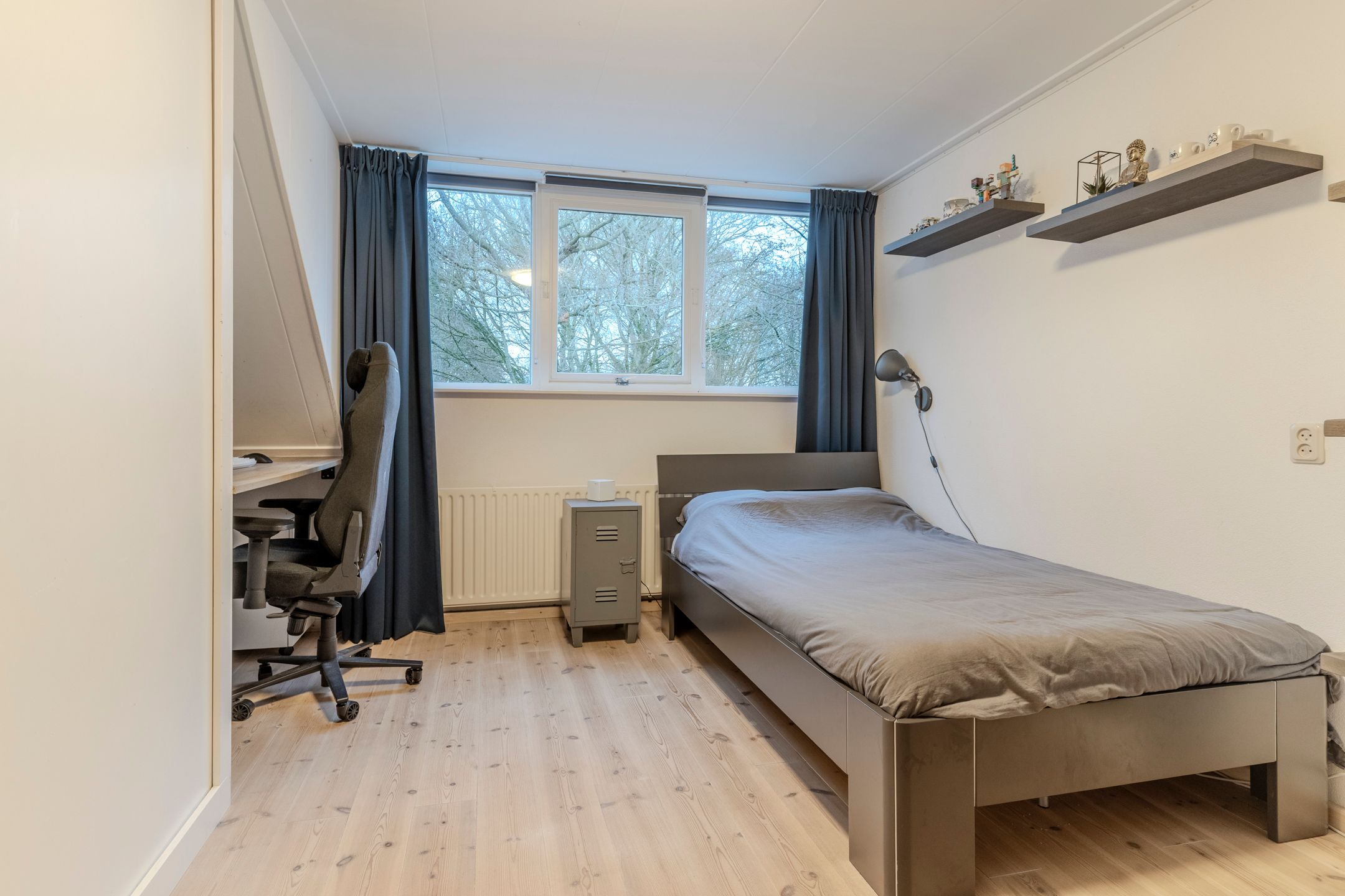 Foto 24 van Eikeboom 9