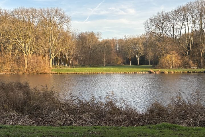 Foto 34 van Tulpstraat 33