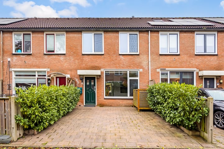 Horst 12 11 main image