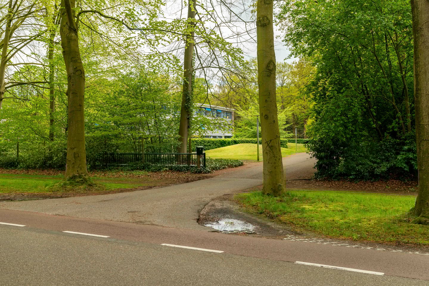 Bekijk foto 5 van Horstlaan 2-4