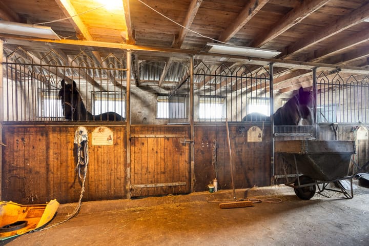 Photo 16 of Koningin Julianaweg 53-A