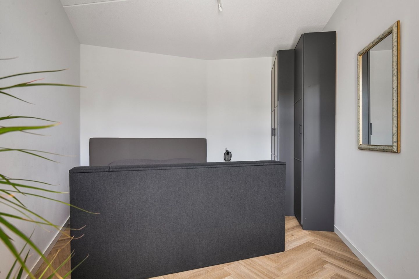 Photo 14 of Kaapsduinhof 61