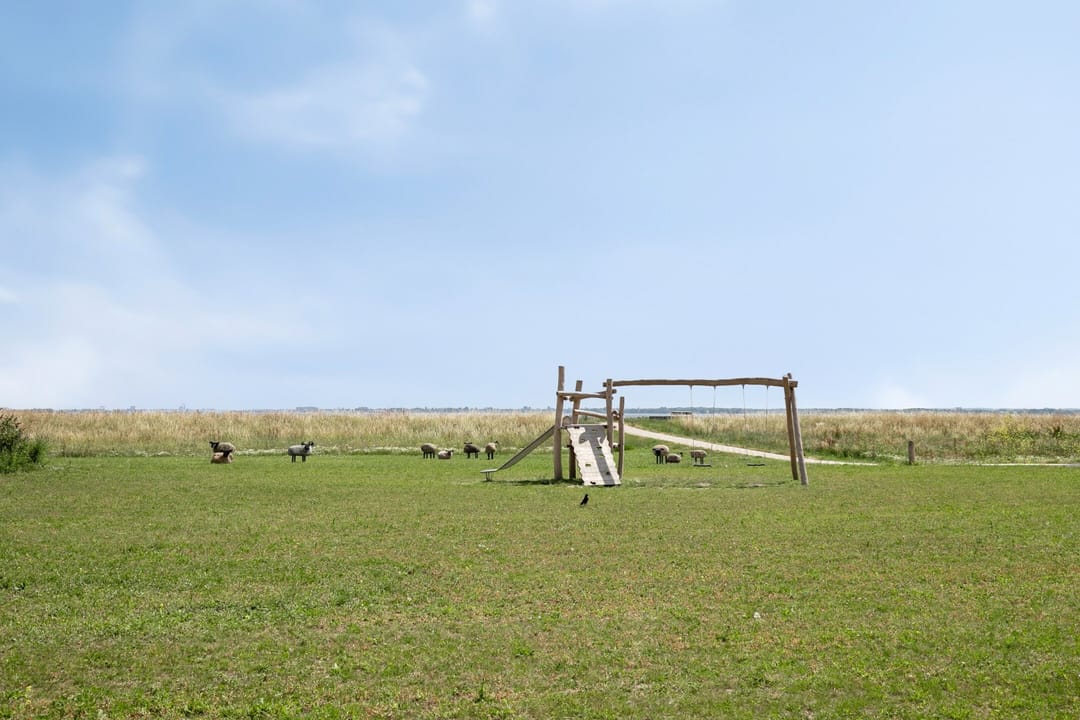 Photo 22 of Kaapsduinhof 61