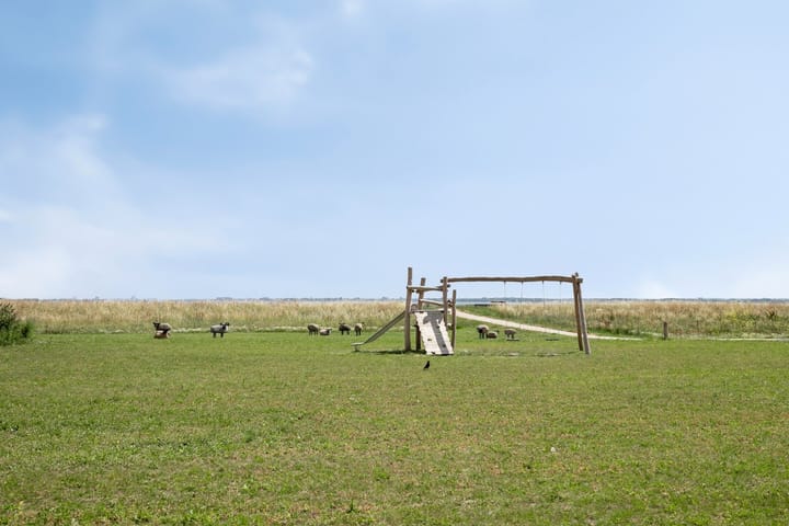 Foto 22 van Kaapsduinhof 61