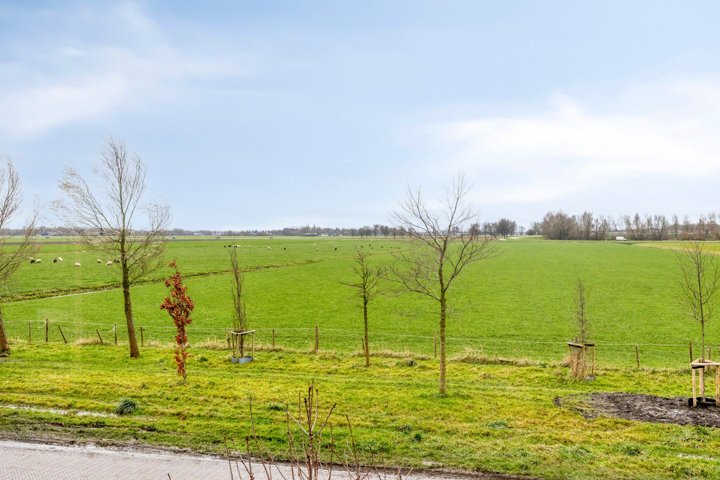 Photo 29 of Hendricus de Goedeweg 6