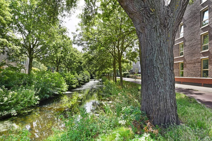 Foto 17 van Oude Haagweg 46