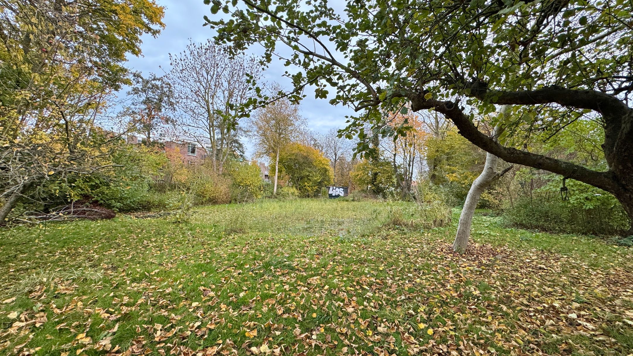 Photo 3 of Beijumerweg