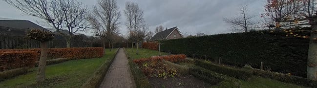 Achtertuin