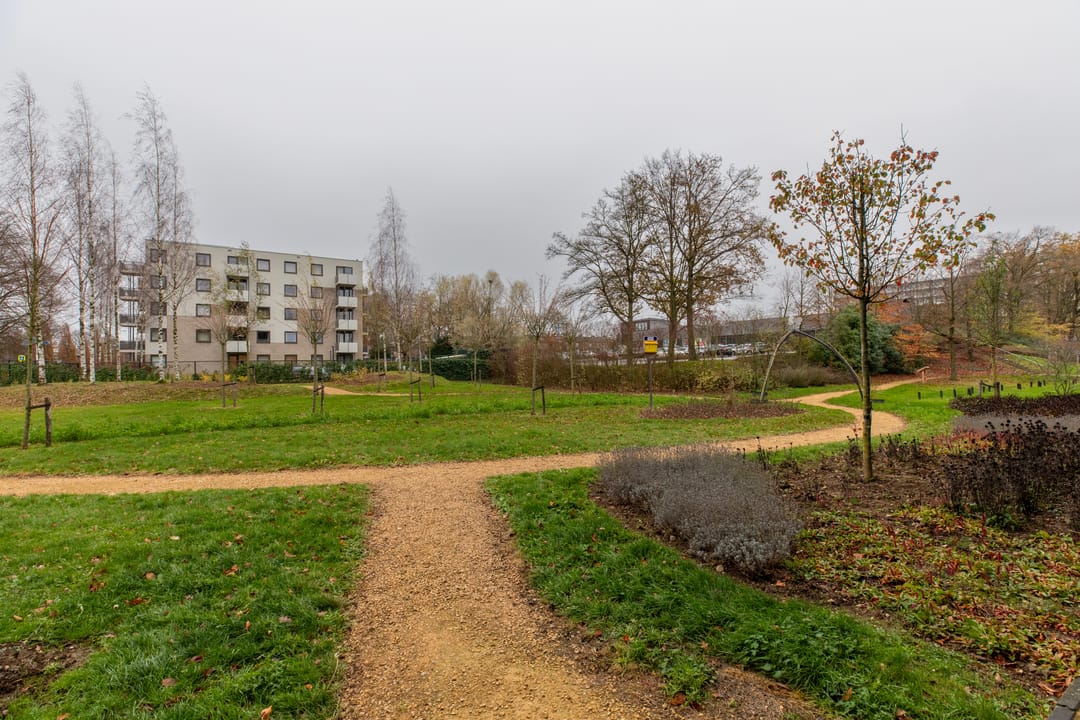 Photo 31 of Europalaan 251